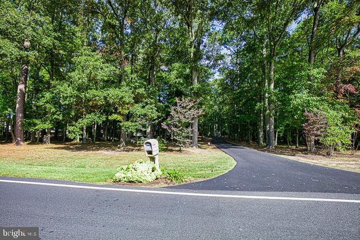 3589 Union Church Road Salisbury, MD 21804 - Photo 84 of 84 a view of a fountain in the middle of a yard