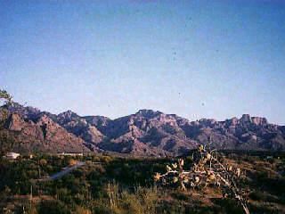 4601 East Trotter Road Tucson, AZ 85739 - Photo 3 of 4