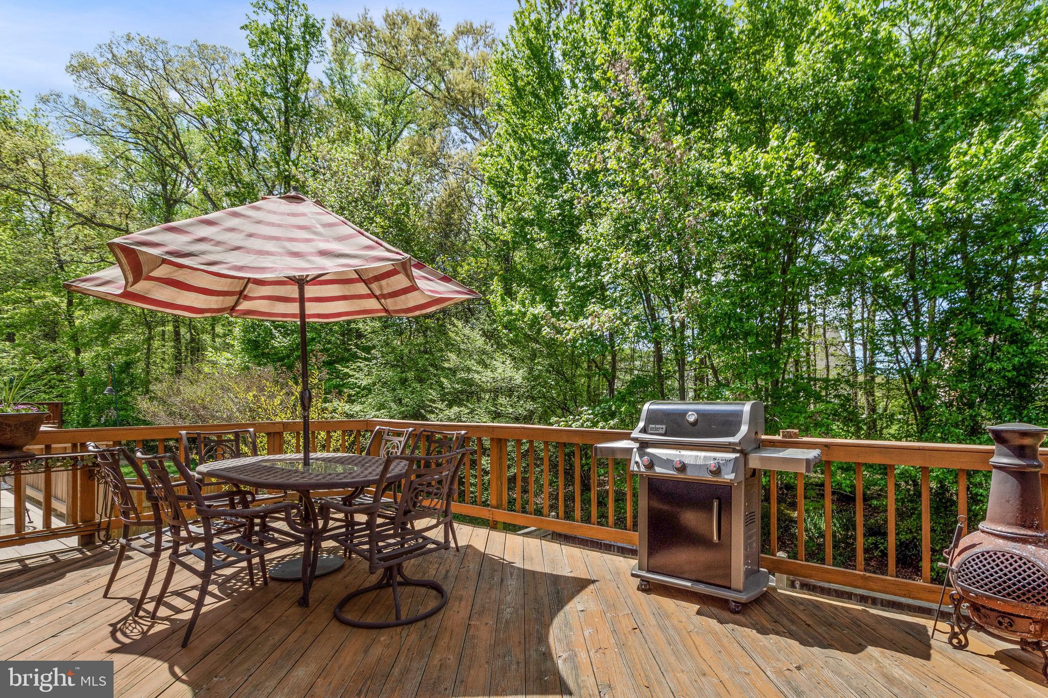 1258 Breckenridge Circle Riva, MD 21140 - Photo 15 of 36 Deck off kitchen and dining room