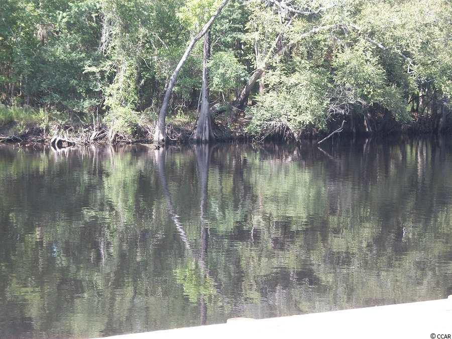 Lot 3 Rowe Pond Road Conway, SC 29526 - Photo 6 of 12 Gallery Image 6