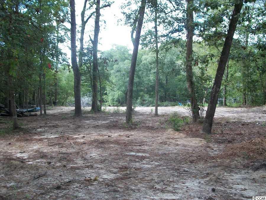 Lot 3 Rowe Pond Road Conway, SC 29526 - Photo 8 of 12 Gallery Image 8