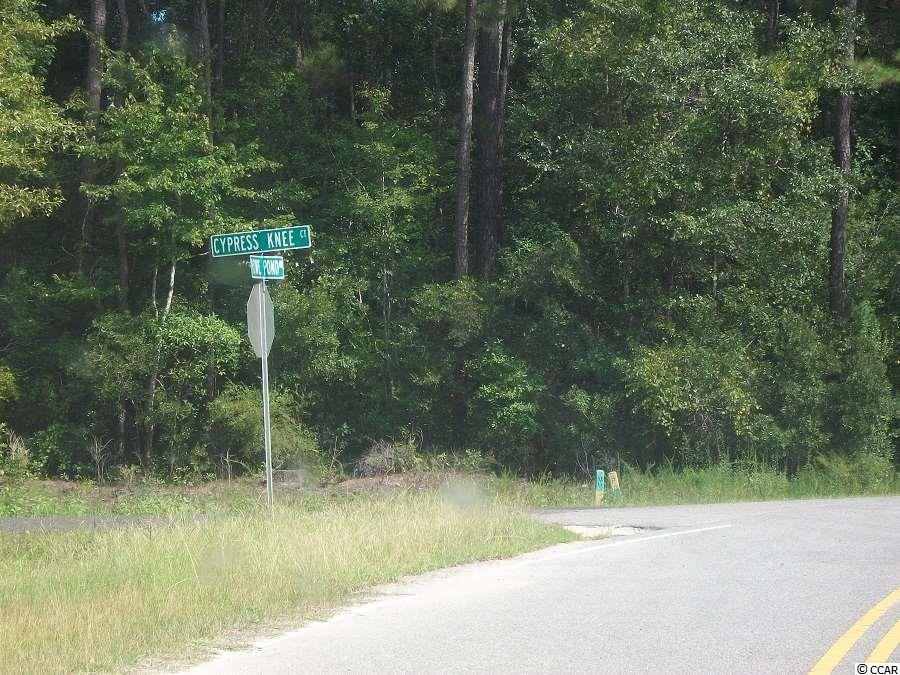 Lot 3 Rowe Pond Road Conway, SC 29526 - Photo 9 of 12 Gallery Image 9