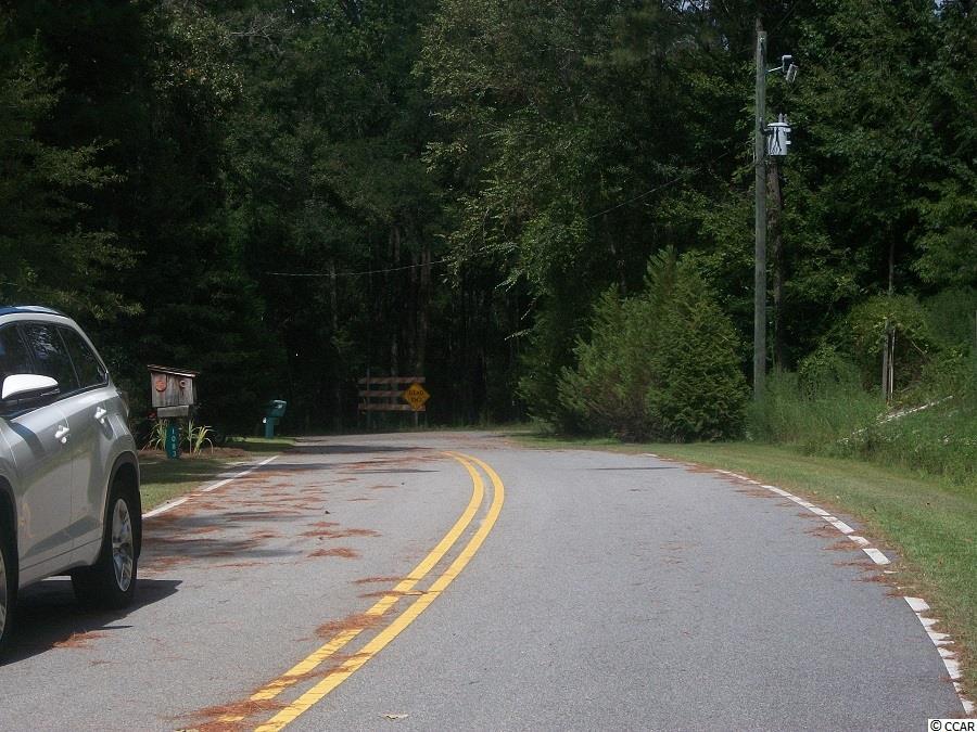 Lot 3 Rowe Pond Road Conway, SC 29526 - Photo 10 of 12 Gallery Image 10