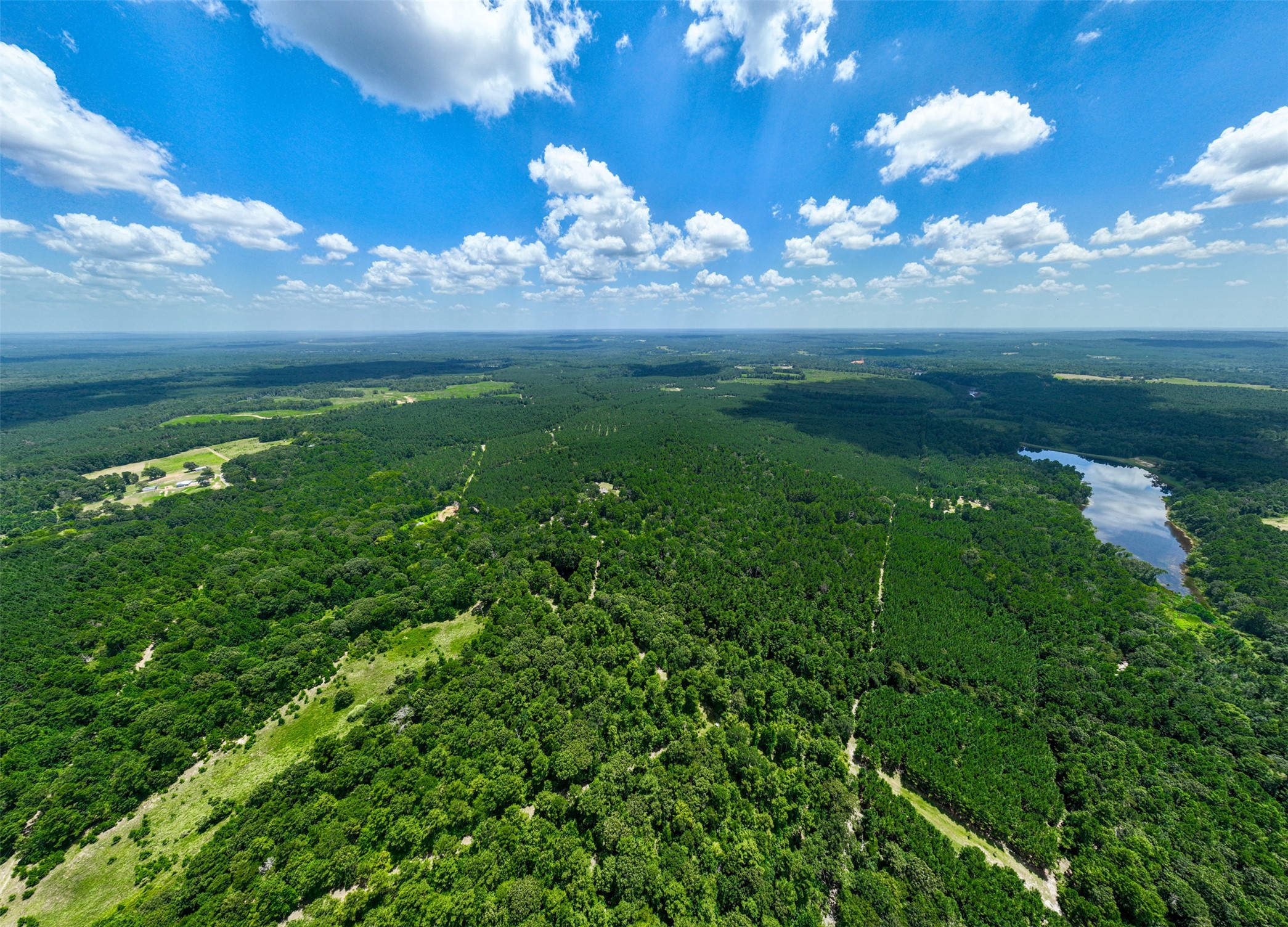 302 An County Road 3914 Palestine, TX 75801 - Photo 43 of 44 a view of a big yard with lots of green space