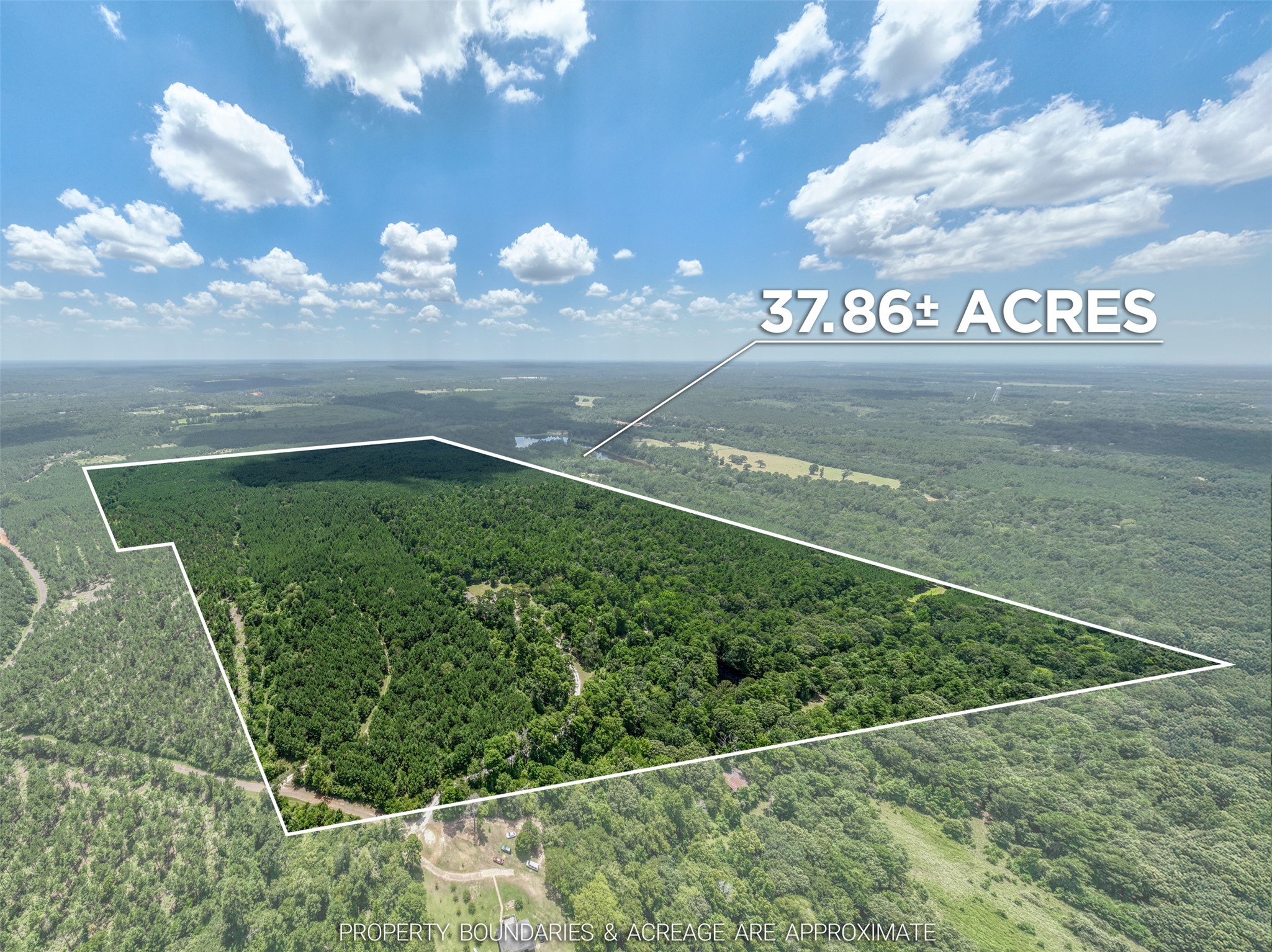 302 An County Road 3914 Palestine, TX 75801 - Photo 44 of 44 a view of a back yard