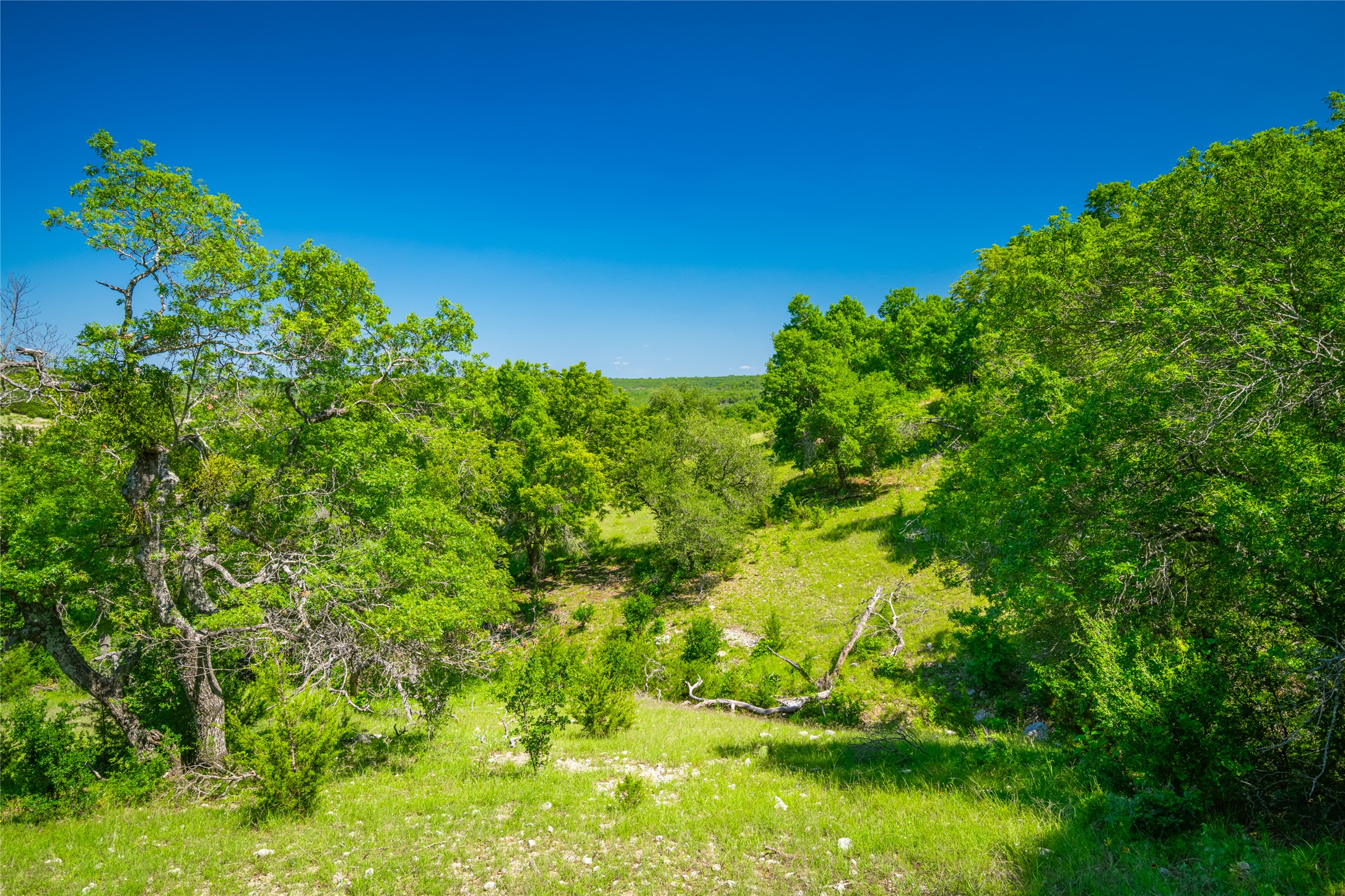 0 Trails End Road Leander, TX 78641 - Photo 7 of 40 a view of a lake