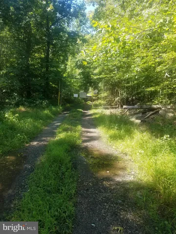 a backyard of a house with lots of green space and fountain