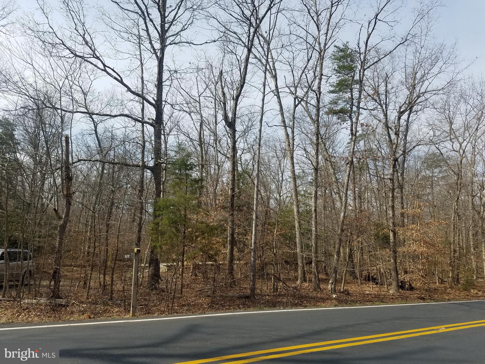 7285 Billingsley Road Bryans Road, MD 20646 - Photo 2 of 7 a view of a houses with a yard and trees