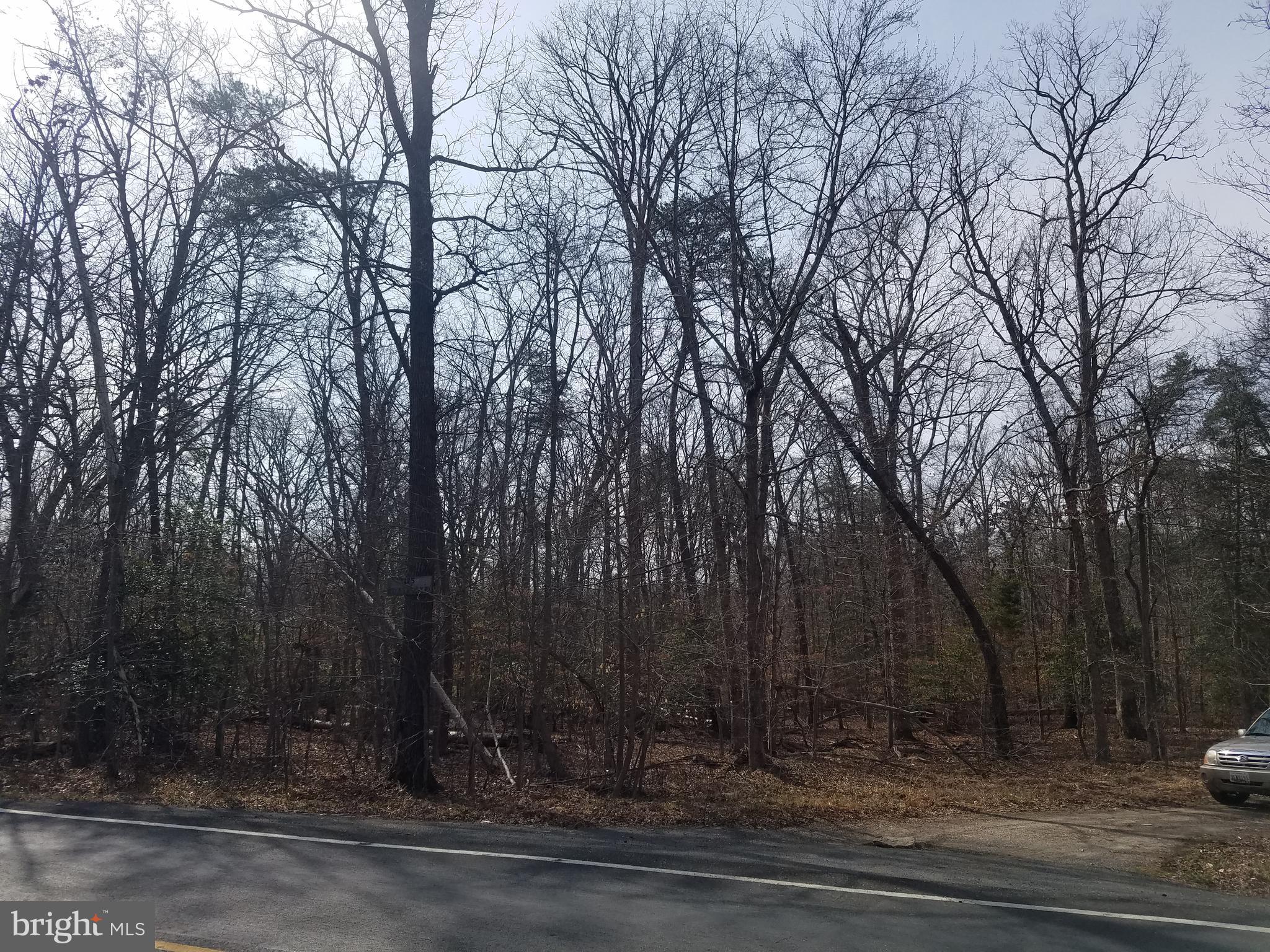 7285 Billingsley Road Bryans Road, MD 20646 - Photo 3 of 7 a view of a yard