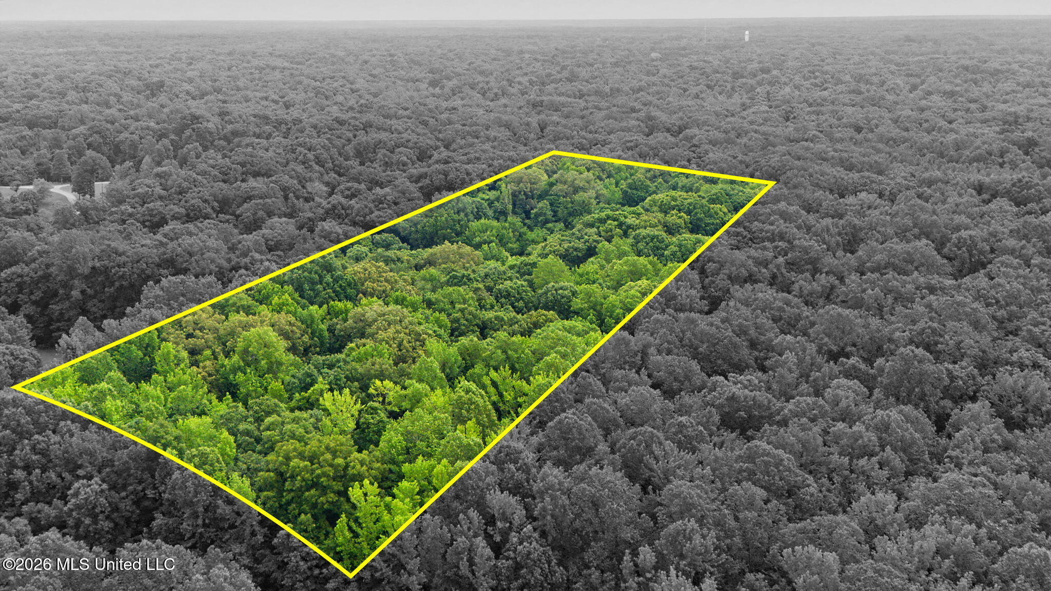 Tanyard Road Hernando, MS 38632 - Photo 4 of 13 6-web-or-mls-Tanyard Rd-6
