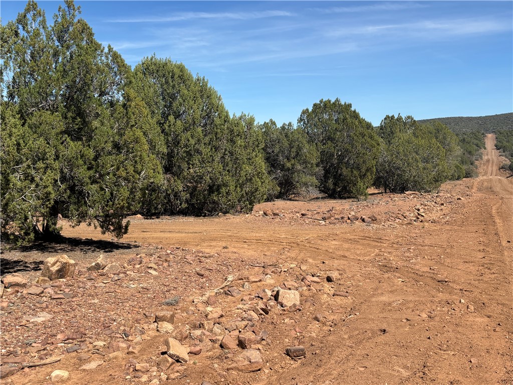 352-38-012 352-38-012 Badger Ridge Road Kingman, AZ 86401 - Photo 24 of 31