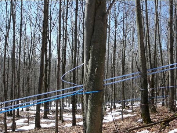 525 Green Mountain Road Montgomery, VT 05476 - Photo 8 of 21 Gallery Image 8