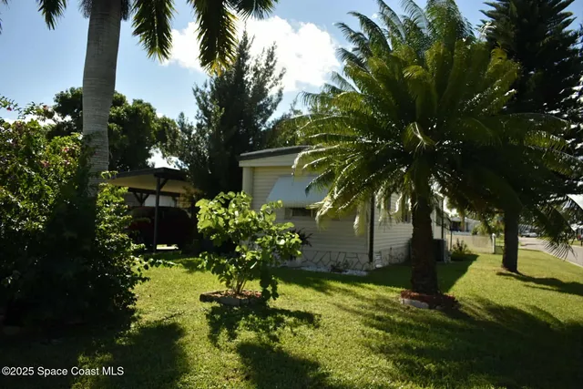 a view of a garden with plants