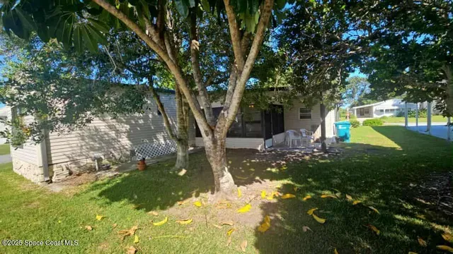 a view of a tree in a yard