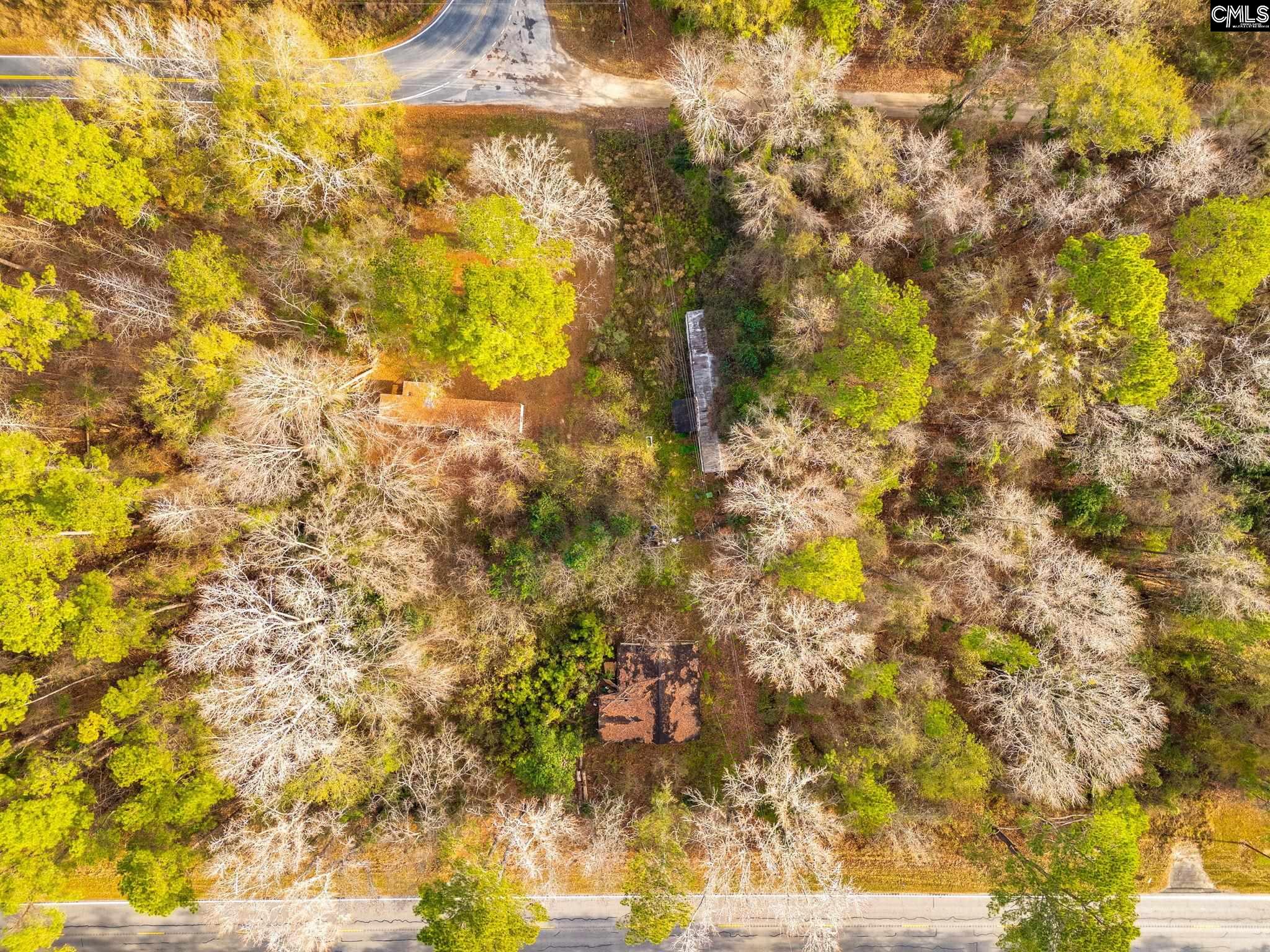 5552 Bluff Road Columbia, SC 29209 - Photo 3 of 11