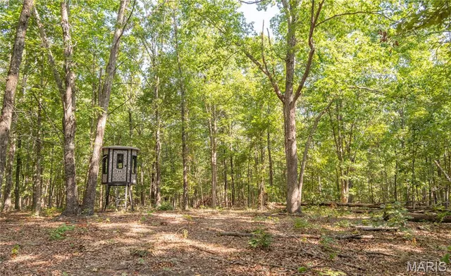 $739,900 | 0 Carter 254, Grandin, MO 63943