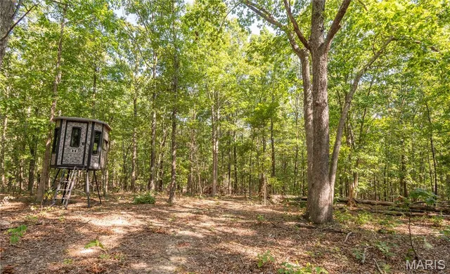 $739,900 | 0 Carter 254, Grandin, MO 63943