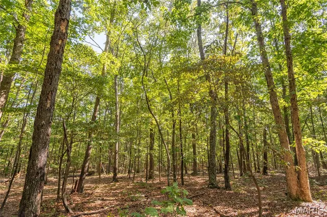 $739,900 | 0 Carter 254, Grandin, MO 63943