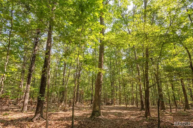 $739,900 | 0 Carter 254, Grandin, MO 63943