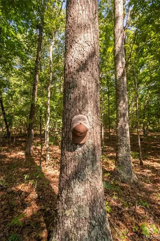 $739,900 | 0 Carter 254, Grandin, MO 63943