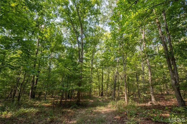 $739,900 | 0 Carter 254, Grandin, MO 63943