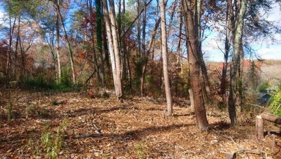 0 Forest North Road, Unit 63 Hixson, TN 37343 - Photo 3 of 29 3