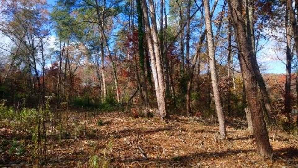 0 Forest North Road, Unit 63 Hixson, TN 37343 - Photo 4 of 29 4