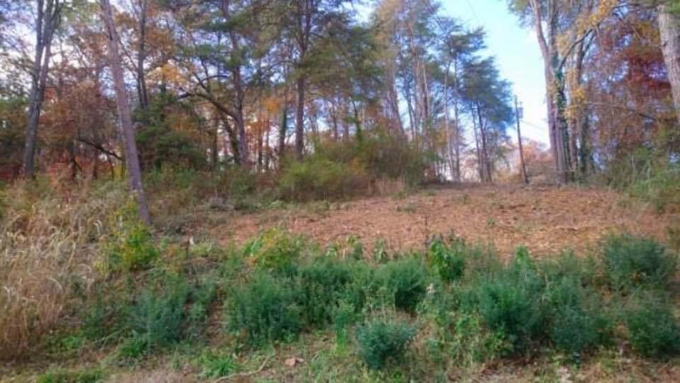 0 Forest North Road, Unit 63 Hixson, TN 37343 - Photo 6 of 29 6