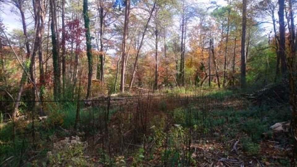 0 Forest North Road, Unit 63 Hixson, TN 37343 - Photo 8 of 29 8