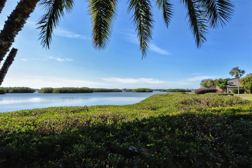 1512 Pelican Point Drive, Unit BA264 Sarasota, FL 34231 - Photo 21 of 44