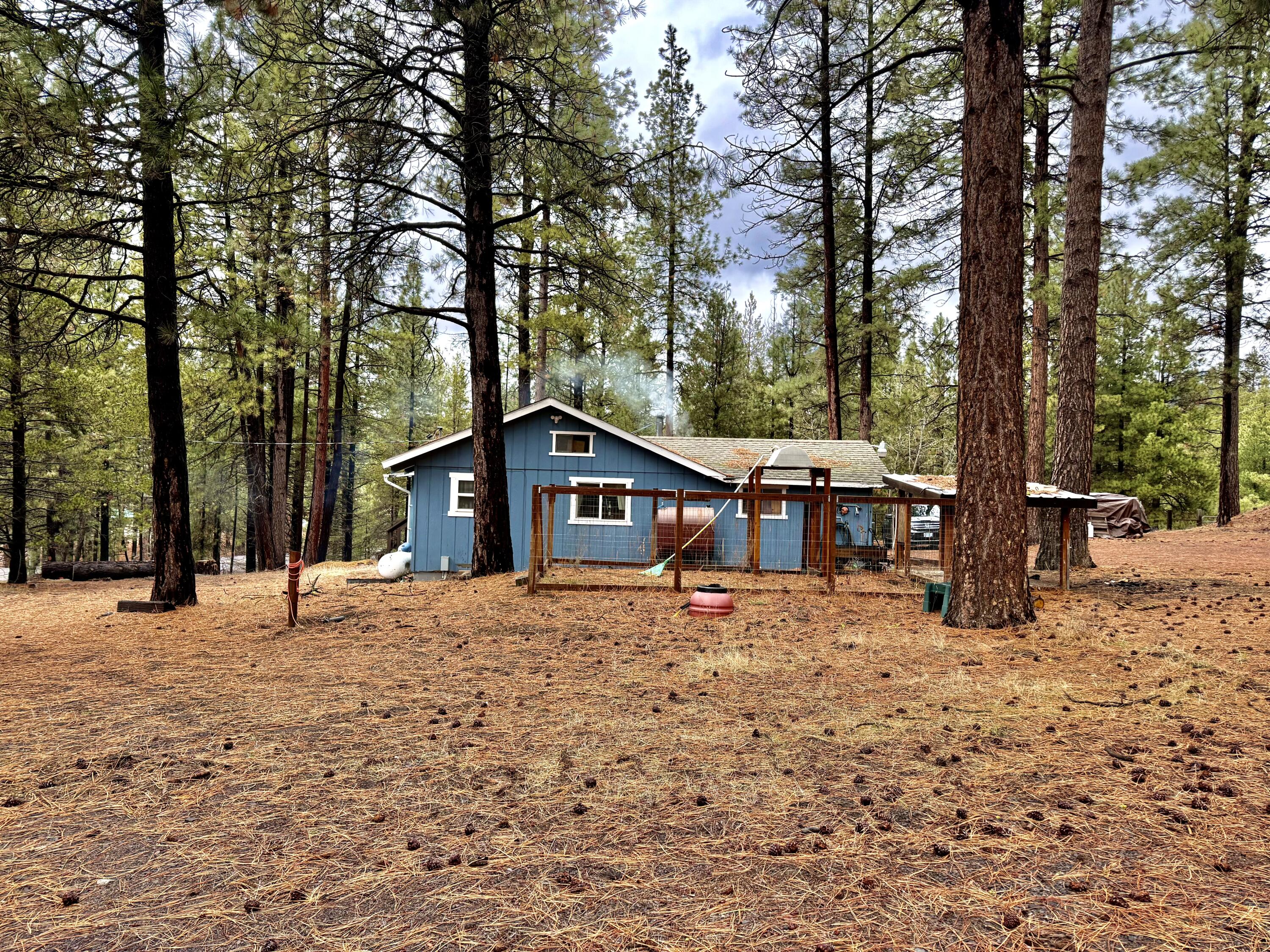 38965 Chiloquin Ridge Road Chiloquin, OR 97624 - Photo 3 of 59 a house that has a tree in front of it
