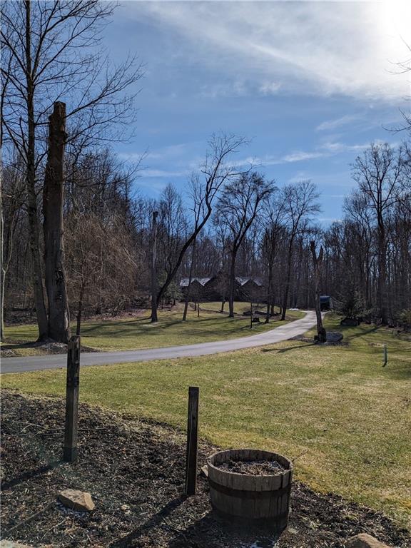 178 Chestnut Ridge Road Blairsville, PA 15717 - Photo 48 of 50 Gallery Image 48