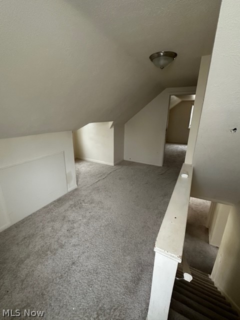 21400 Watson Road Maple Heights, OH 44137 - Photo 13 of 24 Bonus room featuring vaulted ceiling, carpet, and a textured ceiling