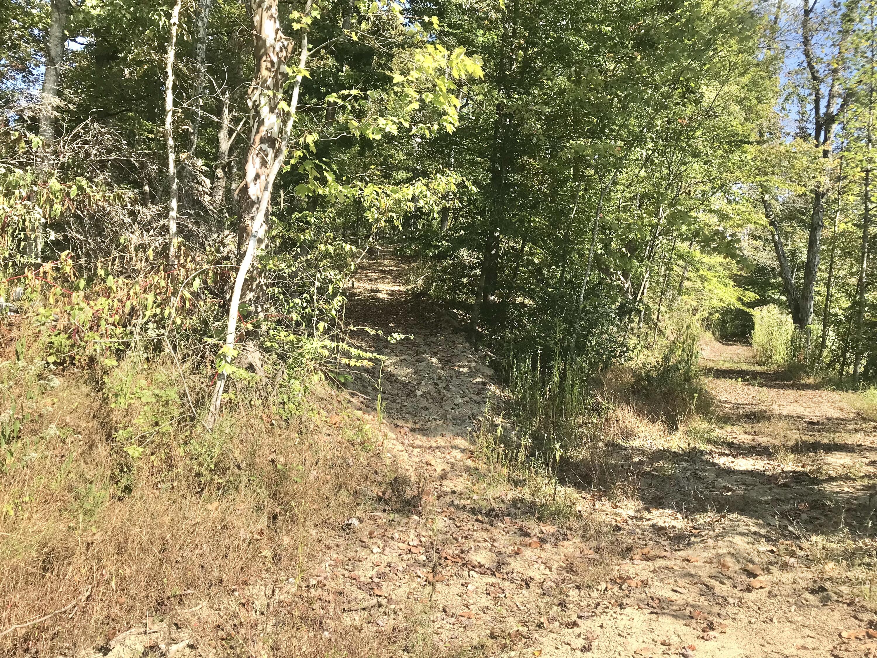 0 Middle Creek Road, Unit 35 ACRES LAND Sandy Hook, KY 41171 - Photo 28 of 47 IMG_6993