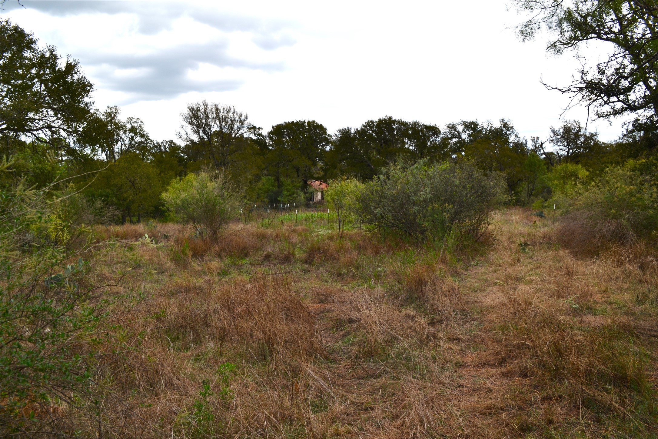 0 Ranch Road 2241 Tow, TX 78672 - Photo 16 of 33 Discover a secluded rural lot, offering abundant natural foliage and a private, undeveloped setting.