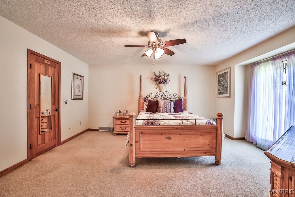 4590 Beach Ridge Road Pendleton, NY 14094 - Photo 31 of 50