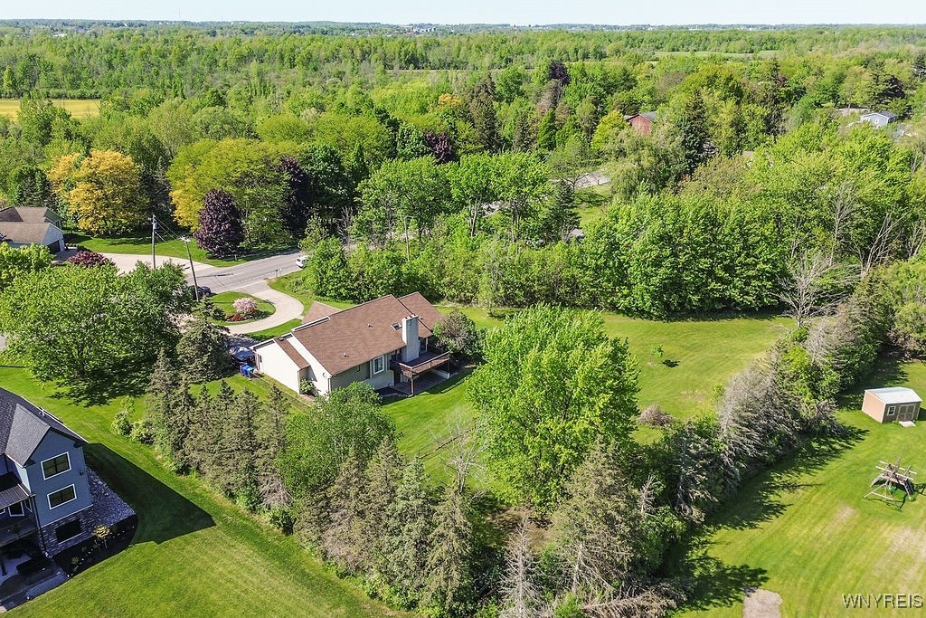 4590 Beach Ridge Road Pendleton, NY 14094 - Photo 48 of 50