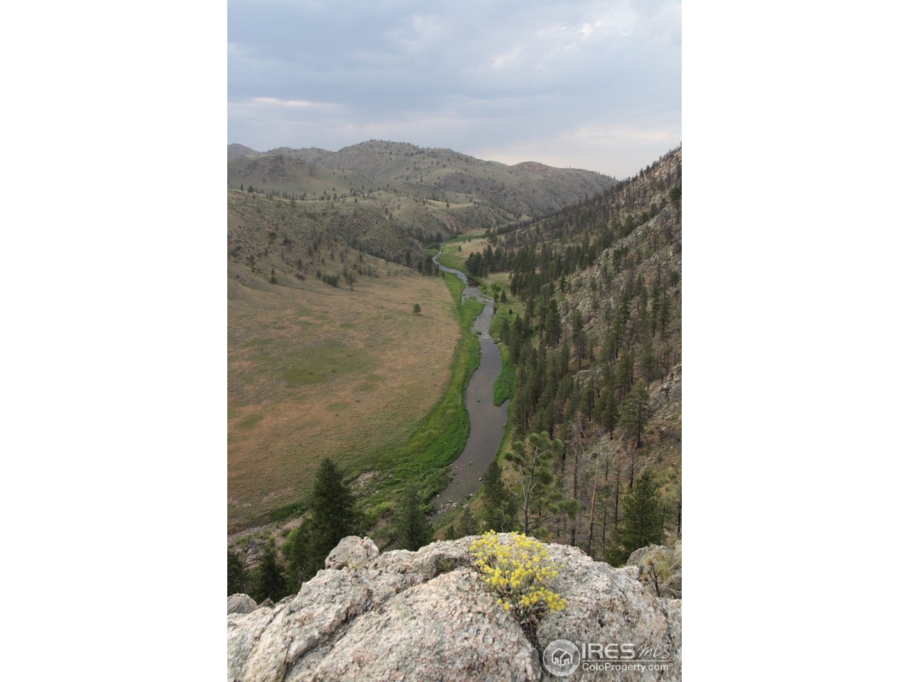 6074 Obenchain Road Laporte, CO 80535 - Photo 14 of 17 River View
