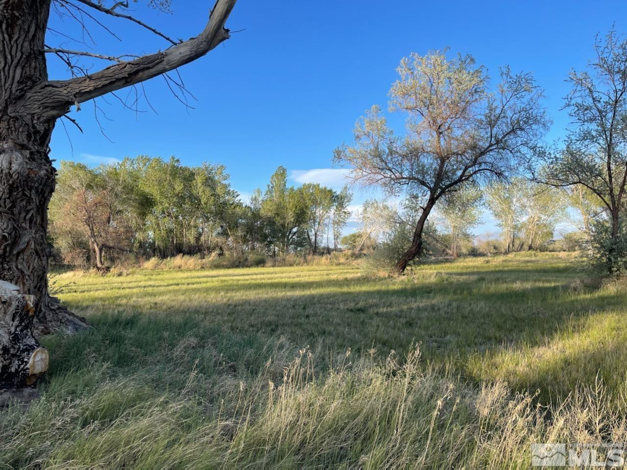 6200 Stillwater Road Fallon, NV 89406 - Photo 1 of 6 Photo 1