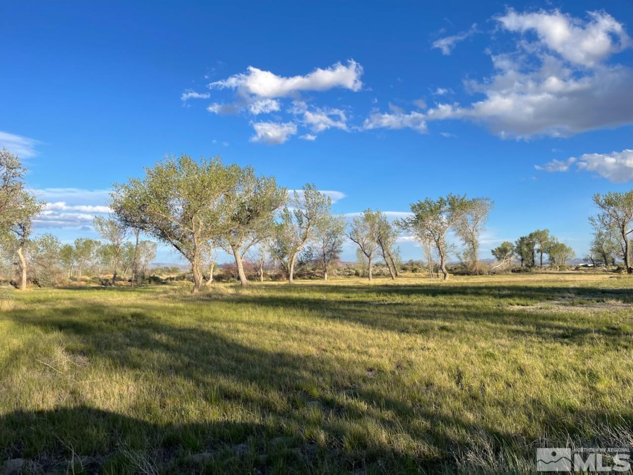 6200 Stillwater Road Fallon, NV 89406 - Photo 2 of 6 Photo 2