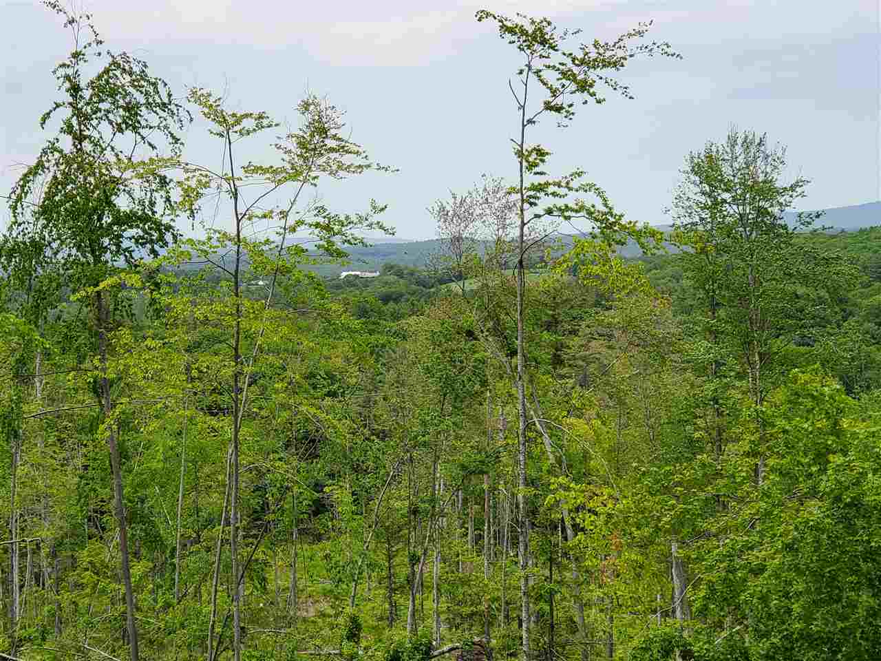 Keasor Road, Unit R16 LOT04 Northfield, NH 03276 - Photo 11 of 12