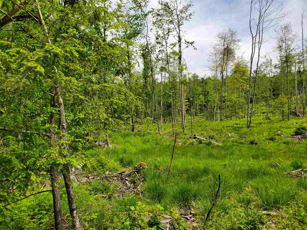Keasor Road, Unit R16 LOT04 Northfield, NH 03276 - Photo 7 of 12