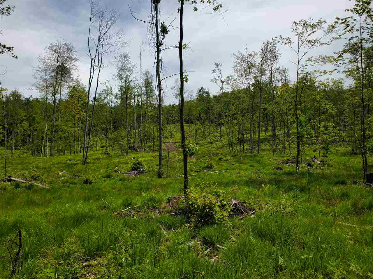 Keasor Road, Unit R16 LOT04 Northfield, NH 03276 - Photo 8 of 12