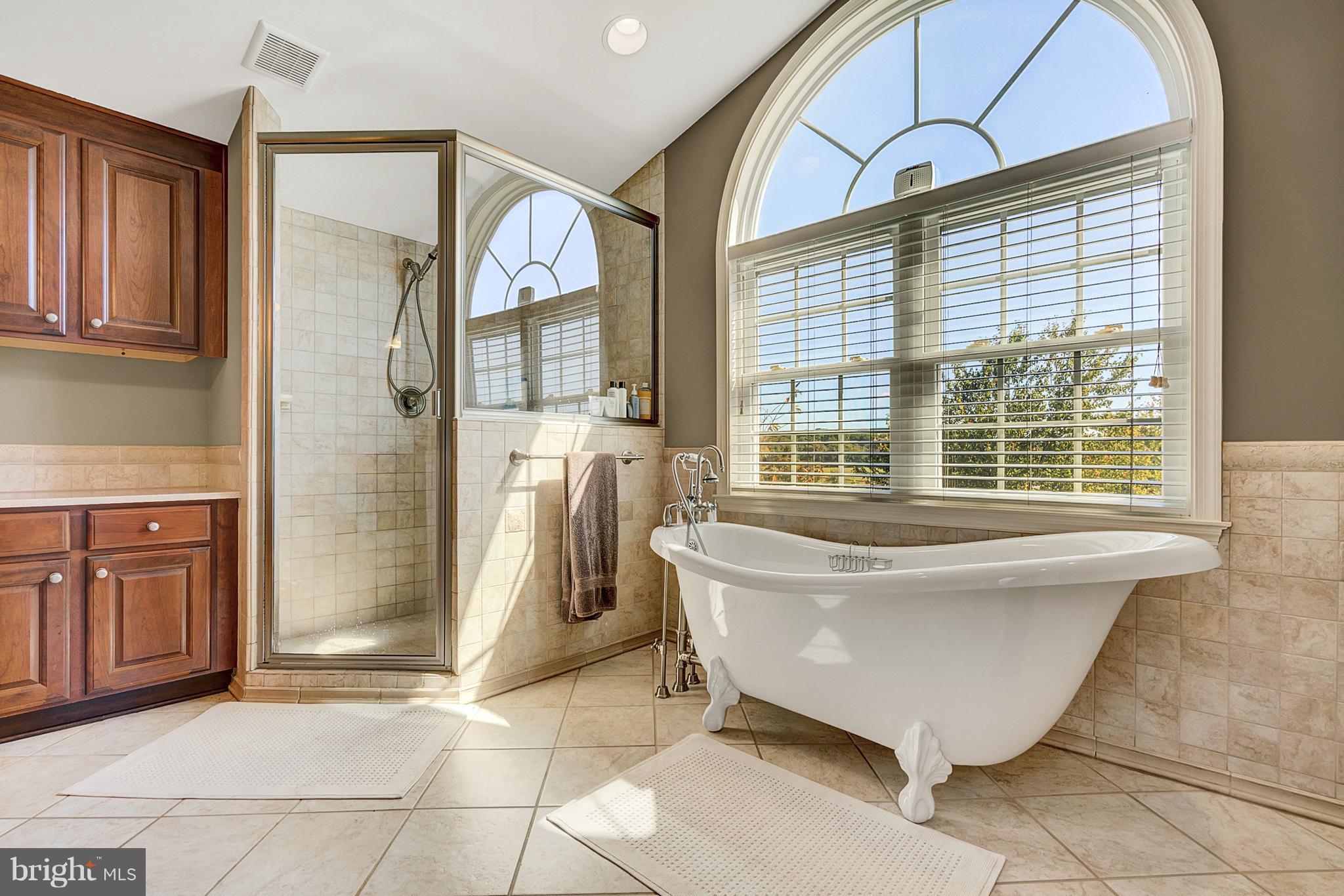 10070 Lees Mill Road Warrenton, VA 20186 - Photo 10 of 30 Bath (Master)