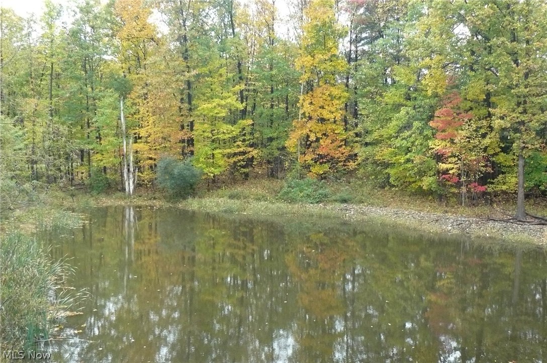 5995 Taylor Road Painesville, OH 44077 - Photo 23 of 24 Gallery Image 23