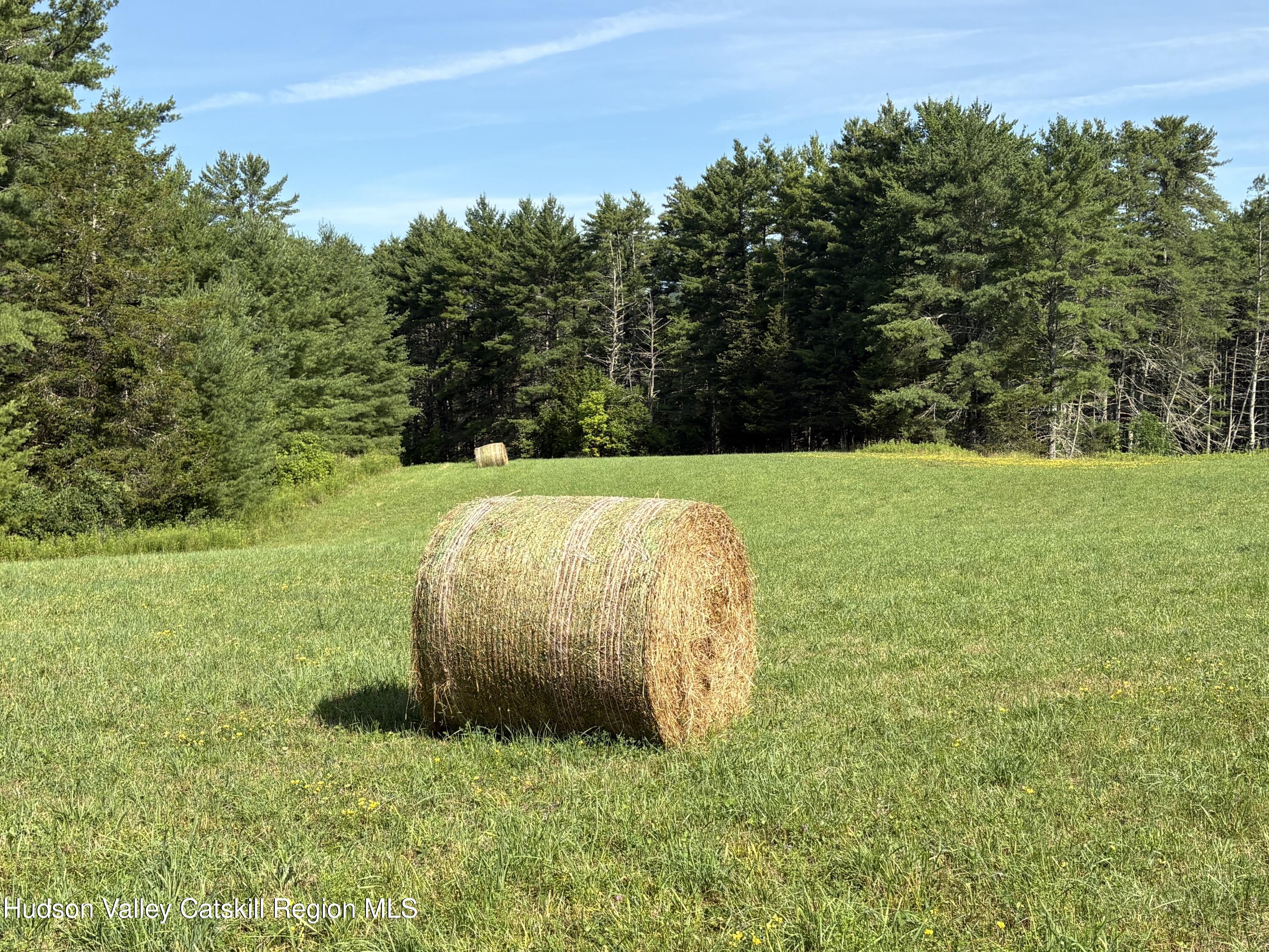 379 Stryker Road Gilboa, NY 12076 - Photo 3 of 22 IMG_0592