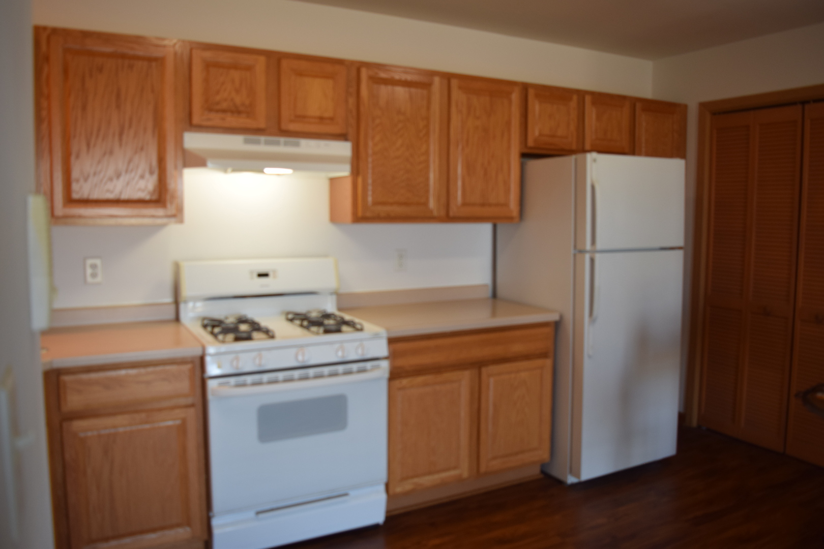 565 North Strack Street, Unit 302 Cortland, IL 60112 - Photo 6 of 15 a kitchen with a refrigerator sink stove and cabinets