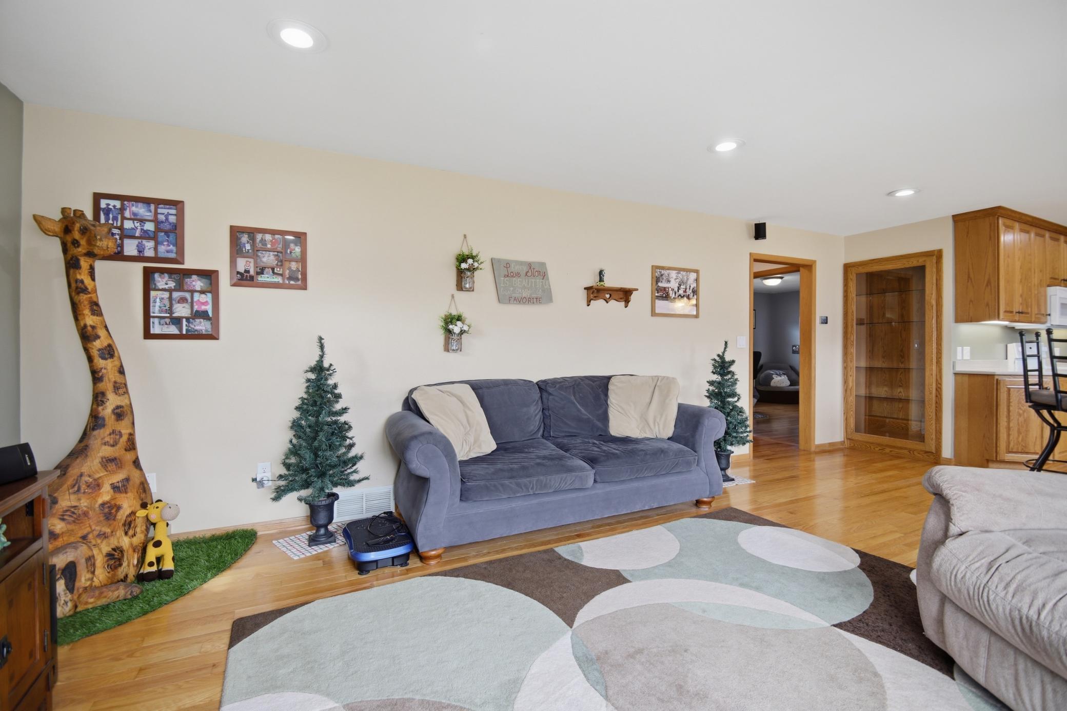 238 13th Street Southwest Owatonna, MN 55060 - Photo 4 of 48