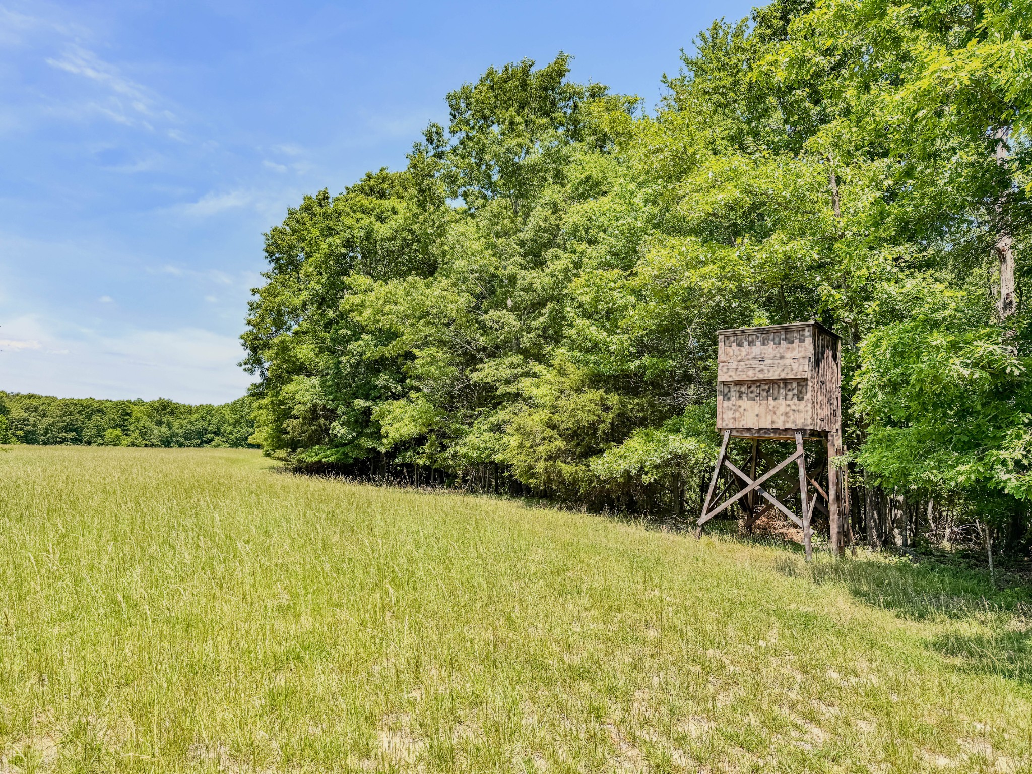0 Johnson Road Lutts, TN 38471 - Photo 1 of 68 Gallery Image 1