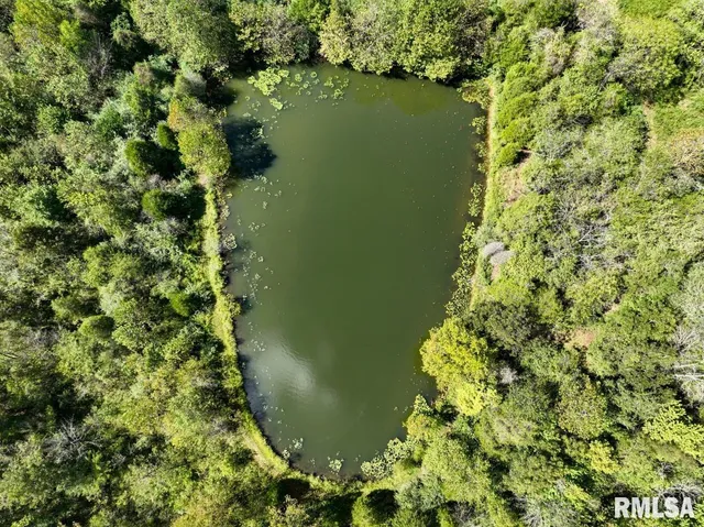 $275,000 | 160S South Iron Furnace Road, Elizabethtown, IL 62931